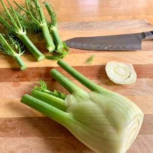 Fennel bulb with stalks removed